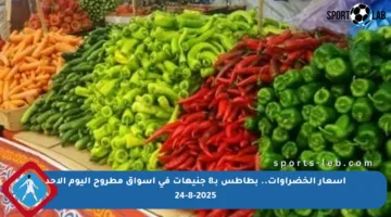 أسعار الخضراوات.. بطاطس بـ8 جنيهات في أسواق مطروح اليوم الأحد 24-8-2025